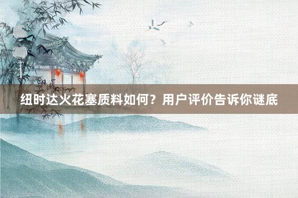 纽时达火花塞质料如何？用户评价告诉你谜底